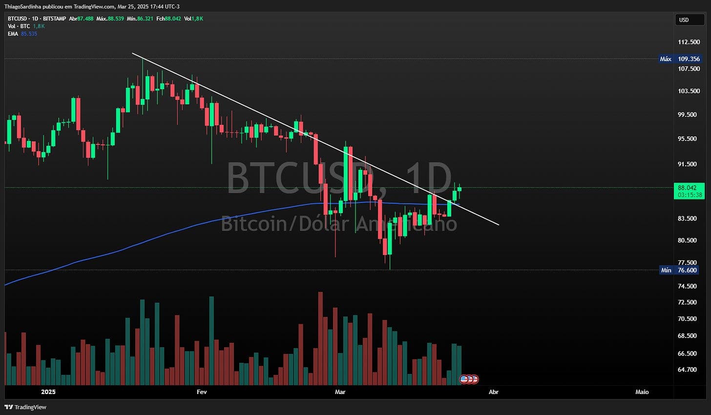 Capa do artigo: 🐟 SARDINHA NEWS #01